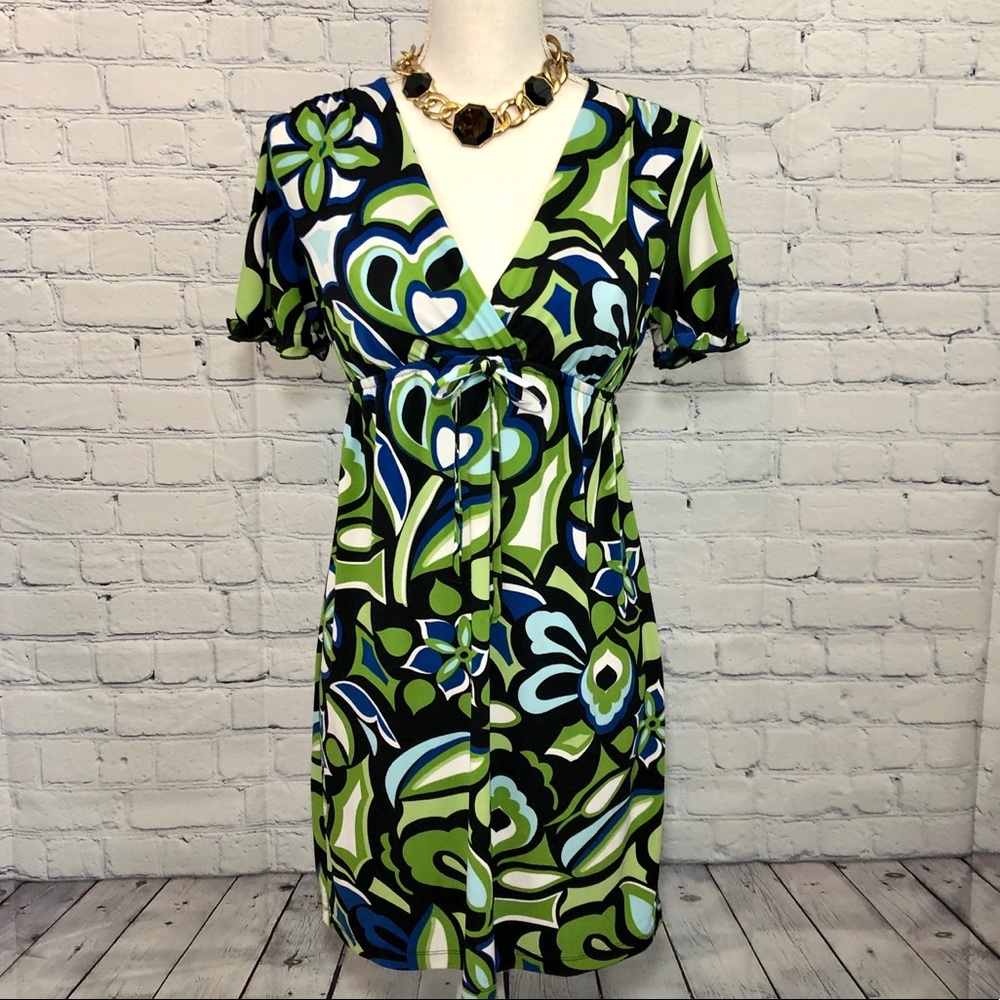 ENFOCUS STUDIO Dress Size 4